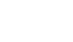 The Connection Logo